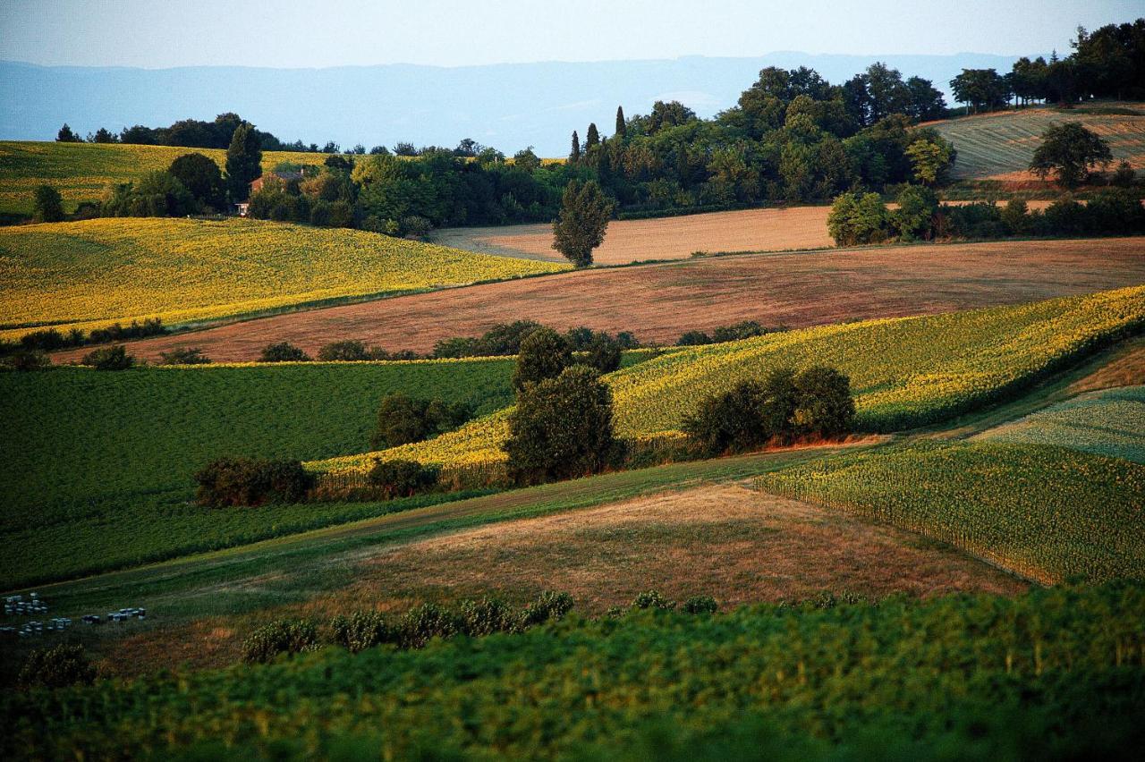 Auberge Du Poids Public Logis Hotel Saint-Felix-Lauragais Экстерьер фото